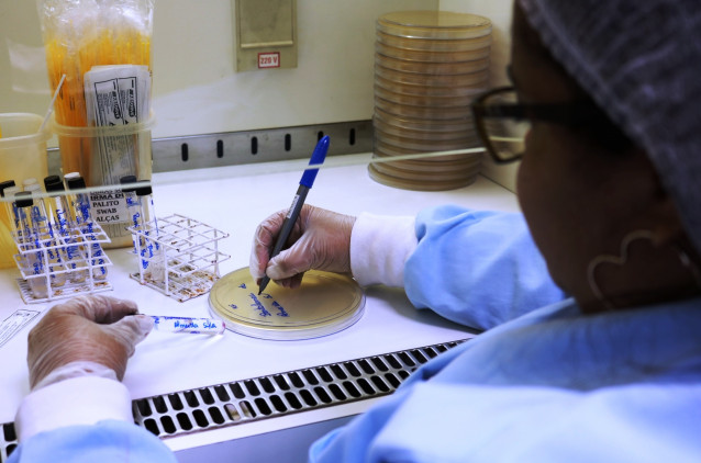 Laboratório das Obras Sociais Irmã Dulce passa a realizar exames sem agendamento Laboratório das Obras Sociais Irmã Dulce passa a realizar exames sem agendamento